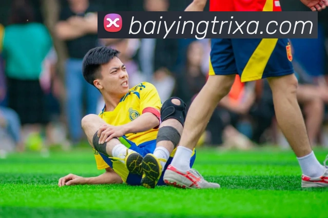 百盈体育平台生态图